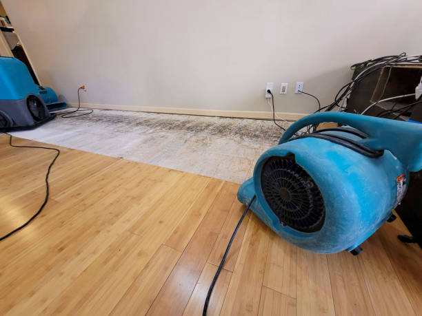 Professional Basement Flood Cleanup technician working in Loretto, TN